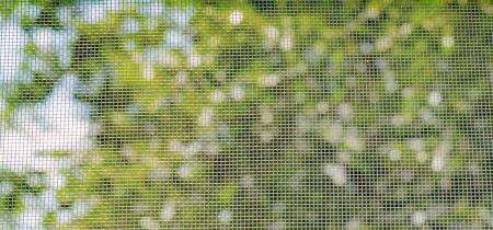 Bonus Zanzariere 2026: tutto quello che c'è da sapere