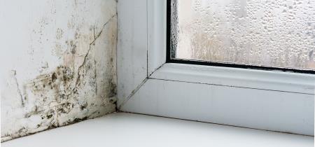 Elimina la muffa in casa con la ventilazione meccanica controllata