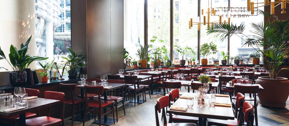 Tende a rullo per vetrate ristorante: tutti i vantaggi
